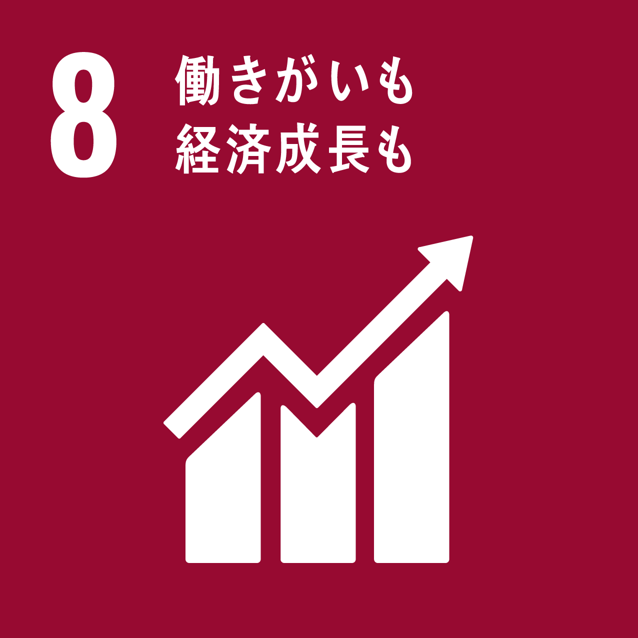 assets/image/pages/aboutus/sdgs-icon-08.png